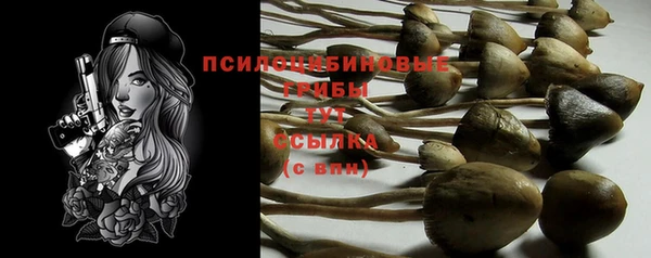 гидра Беломорск