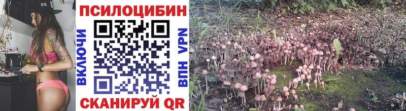 Псилоцибиновые грибы GOLDEN TEACHER  Купить где  Назарово 