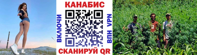 Бошки Шишки OG Kush  Купить где  Назарово 
